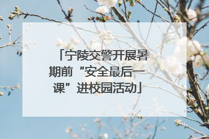 宁陵交警开展暑期前“安全最后一课”进校园活动