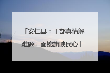安仁县：干部真情解难题一面锦旗映民心