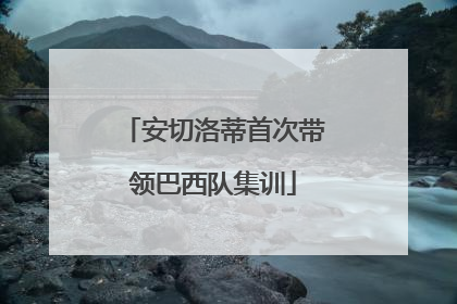 安切洛蒂首次带领巴西队集训