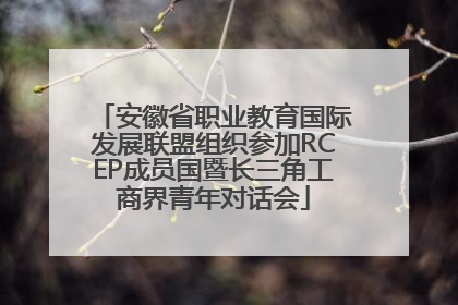 安徽省职业教育国际发展联盟组织参加RCEP成员国暨长三角工商界青年对话会
