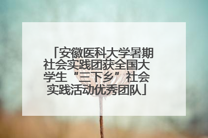 安徽医科大学暑期社会实践团获全国大学生“三下乡”社会实践活动优秀团队