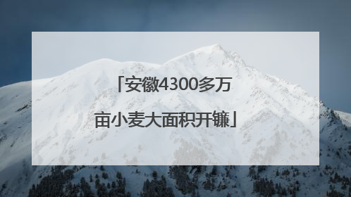 安徽4300多万亩小麦大面积开镰