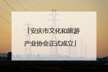 安庆市文化和旅游产业协会正式成立