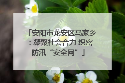 安阳市龙安区马家乡：凝聚社会合力 织密防汛“安全网”