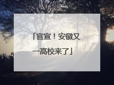 官宣！安徽又一高校来了