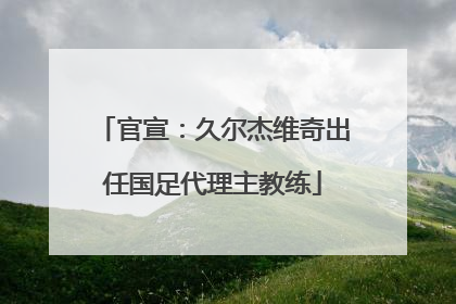 官宣：久尔杰维奇出任国足代理主教练