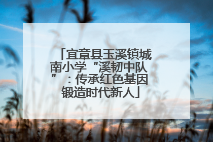 宜章县玉溪镇城南小学“溪韧中队”：传承红色基因 锻造时代新人