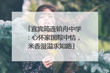 宜宾筠连镇舟中学：心怀家国粽中情，米香漫溢求知路