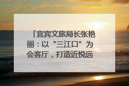 宜宾文旅局长张艳丽：以“三江口”为会客厅，打造近悦远来的国际旅游城市｜文旅局长说