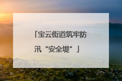 宝云街道筑牢防汛“安全堤”