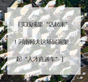 实践成果“活起来”！河南师大这场展演架起“人才直通车”