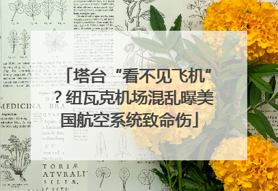 塔台“看不见飞机”？纽瓦克机场混乱曝美国航空系统致命伤