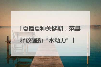 夏播夏种关键期，范县释放强劲“水动力”