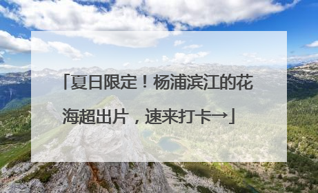 夏日限定！杨浦滨江的花海超出片，速来打卡→