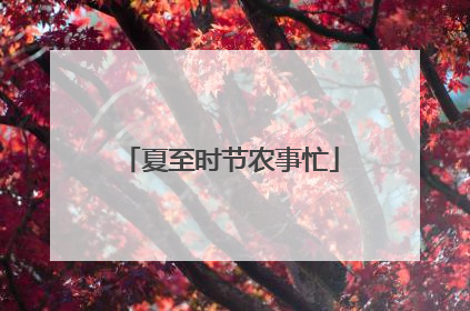 夏至时节农事忙