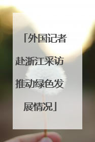 外国记者赴浙江采访推动绿色发展情况