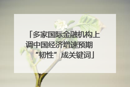 多家国际金融机构上调中国经济增速预期 “韧性”成关键词