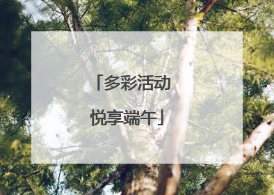 多彩活动 悦享端午