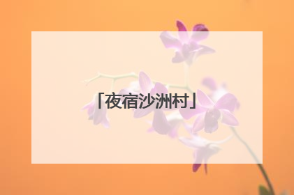 夜宿沙洲村