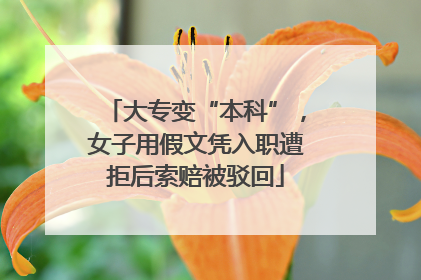 大专变“本科”，女子用假文凭入职遭拒后索赔被驳回