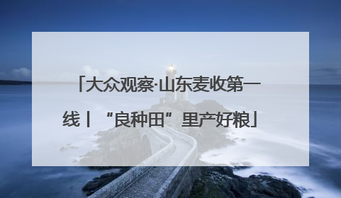大众观察·山东麦收第一线丨“良种田”里产好粮