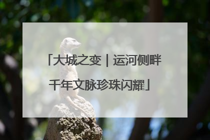 大城之变｜运河侧畔 千年文脉珍珠闪耀