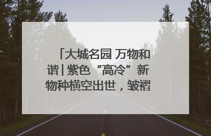 大城名园 万物和谐│紫色“高冷”新物种横空出世，皱褶叶片暗藏进化密码