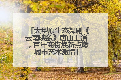 大型原生态舞剧《云南映象》唐山上演，百年商街焕新点燃城市艺术激情