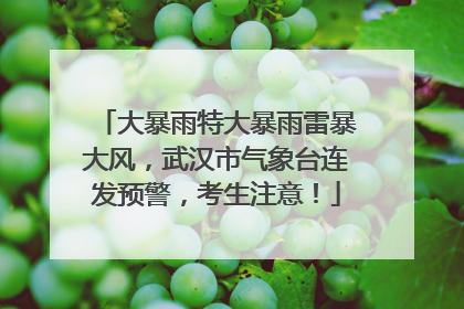 大暴雨特大暴雨雷暴大风，武汉市气象台连发预警，考生注意！