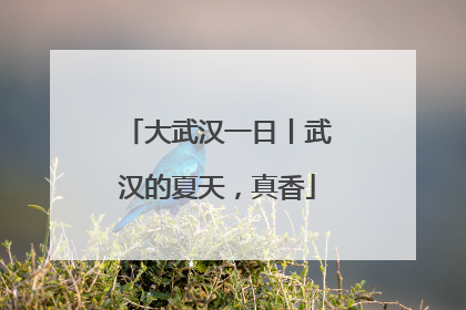 大武汉一日丨武汉的夏天，真香