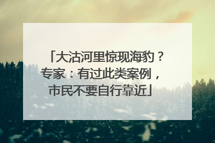 大沽河里惊现海豹？专家：有过此类案例，市民不要自行靠近