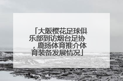 大阪樱花足球俱乐部到访烟台足协，鹿扬体育推介体育装备发展情况