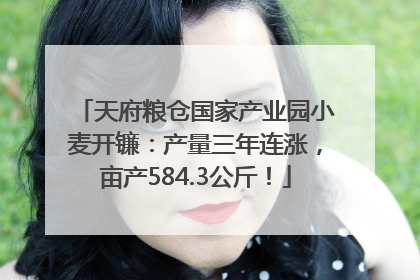 天府粮仓国家产业园小麦开镰：产量三年连涨，亩产584.3公斤！