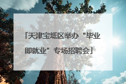 天津宝坻区举办“毕业即就业”专场招聘会