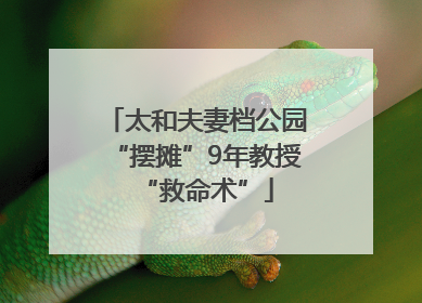太和夫妻档公园“摆摊”9年教授“救命术”
