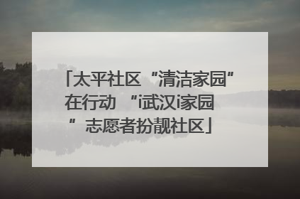 太平社区“清洁家园”在行动 “i武汉i家园”志愿者扮靓社区