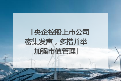 央企控股上市公司密集发声，多措并举加强市值管理