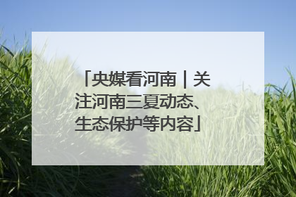 央媒看河南｜关注河南三夏动态、生态保护等内容