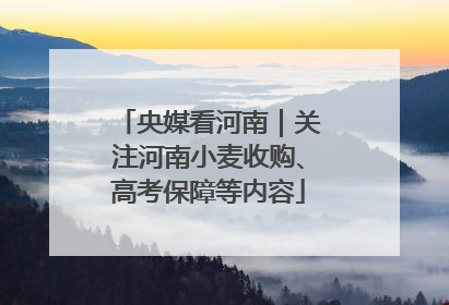 央媒看河南｜关注河南小麦收购、高考保障等内容