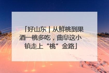 好山东｜从鲜桃到果酒一桃多吃，曲阜这小镇走上“桃”金路
