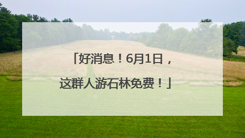 好消息！6月1日，这群人游石林免费！