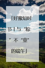 好豫知时节丨与“粽”不“童”的端午