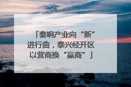 奏响产业向“新”进行曲，泰兴经开区以营商换“赢商”