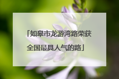 如皋市龙游湾路荣获全国最具人气的路