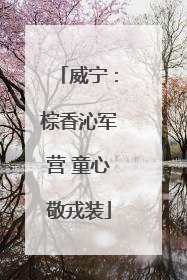 威宁：棕香沁军营 童心敬戎装