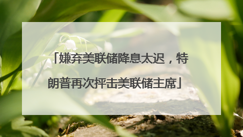 嫌弃美联储降息太迟，特朗普再次抨击美联储主席