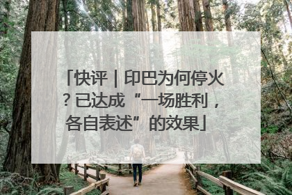 快评｜印巴为何停火？已达成“一场胜利，各自表述”的效果
