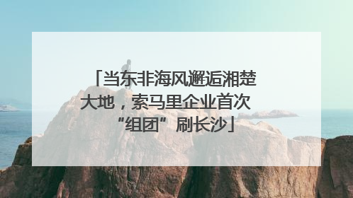 当东非海风邂逅湘楚大地，索马里企业首次“组团”刷长沙