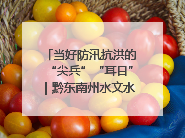 当好防汛抗洪的“尖兵”“耳目”｜黔东南州水文水资源局全员出动为此轮强降雨做好测报工作