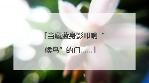 当藏蓝身影叩响“候鸟”的门……